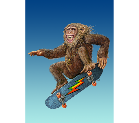 C-577 // Skateboard Monkey