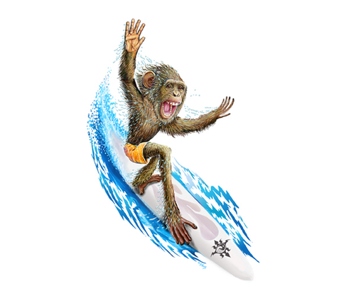 DS-573 // Surfing Monkey